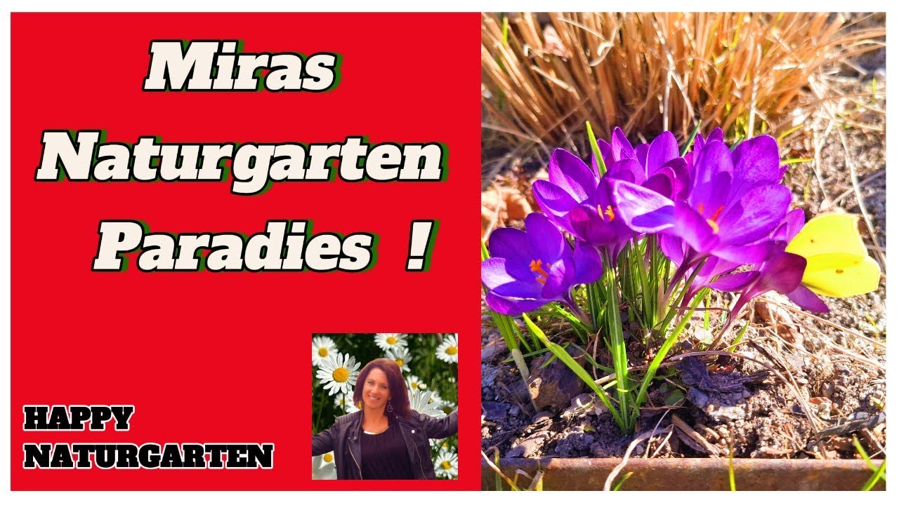 Blick über den Gartenzaun - Mira gibt Vollgas im Naturgarten !