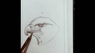 Easy eagle drawing 🦅🦅