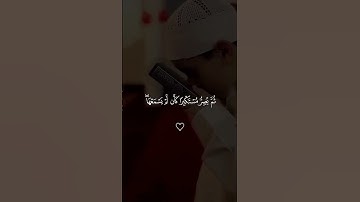 #سورة الجاثية #ياسر_الدوسري #القرآن_الكريم #المصحف #قرآن #اكسبلور #لايك #ترند