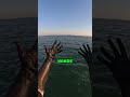 Squid Ink Nightmare – It Won’t Wash Off!