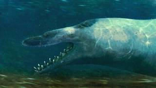 Basilosaurus Prehistoric Sea Monster Whale Facts Mini Doentary