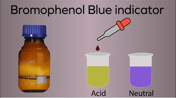 how to prepare bromophenol blue indicator | how do you make bromophenol blue indicator solution