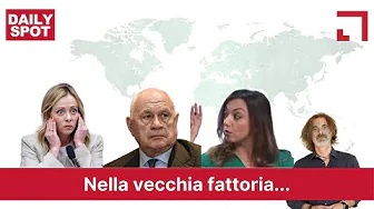 Nella vecchia fattoria... | Daily Spot