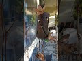 Deko für Balkon und Terrasse.