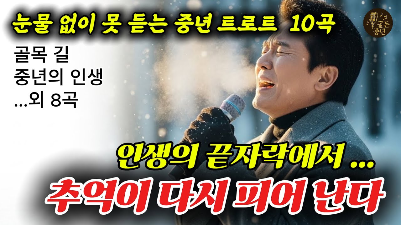 중년의 눈물을 부르는 감성 트로트 모음｜추억이 피어나는 10곡