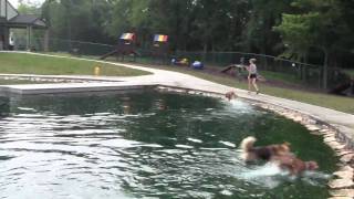 Wags Park 14 July 2010