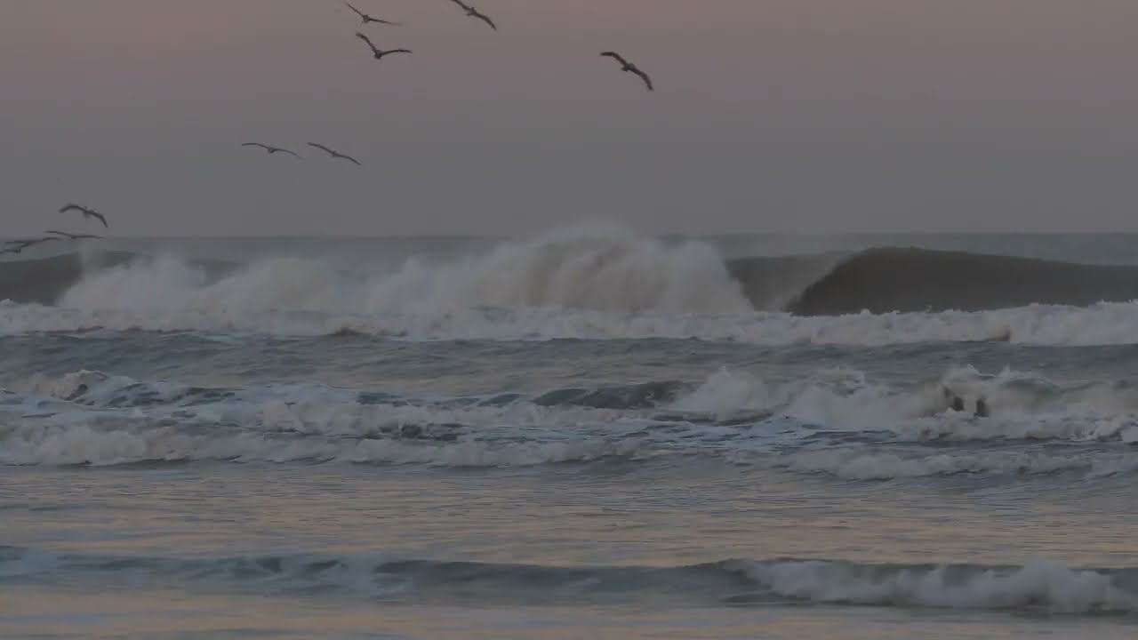 Gabe Kling and Hurricane Nicole
