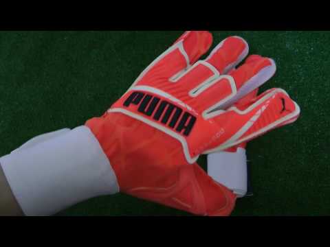 puma evospeed goalkeeper gloves