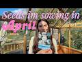 What I'm Sowing In APRIL - Indoors And Outdoors