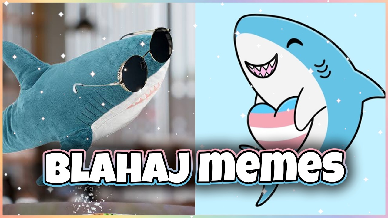 These BLÅHAJ Memes Made My Day🌈✨
