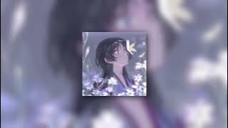 homage — mild high club ( speed up )