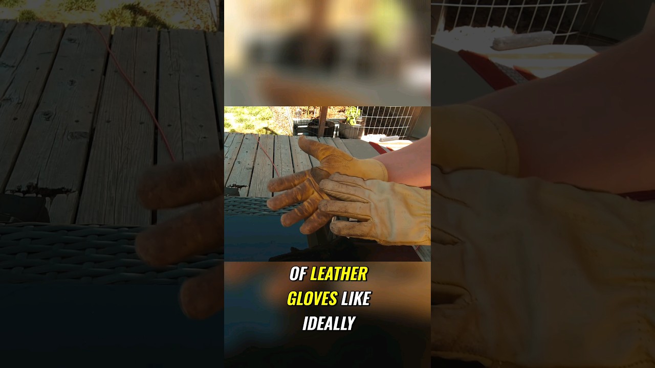 Good Garden Gloves are ESSENTIAL!