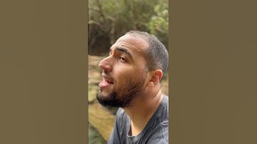 معاذ الدويك "آنتم أشد خلقا ام السماء" تجويد  من الخيال ماشاء الله #قرآن #تجويد #قرآن_المغرب #قارئ