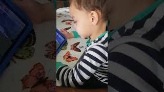 VID 20190502 WA0000