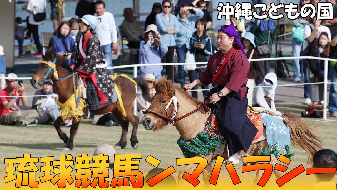 優美な足運び　会場沸く　こどもの国で[「第21回琉球競馬ンマハラシー」