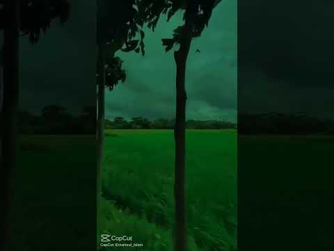 The natural beauty of rural Bengal