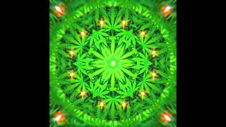 Weed Kaleidoscope Artwork 🥦 Dope 420 degrees circle ✨ Cannabis THC Trip Hemp Ganja Hash Stash