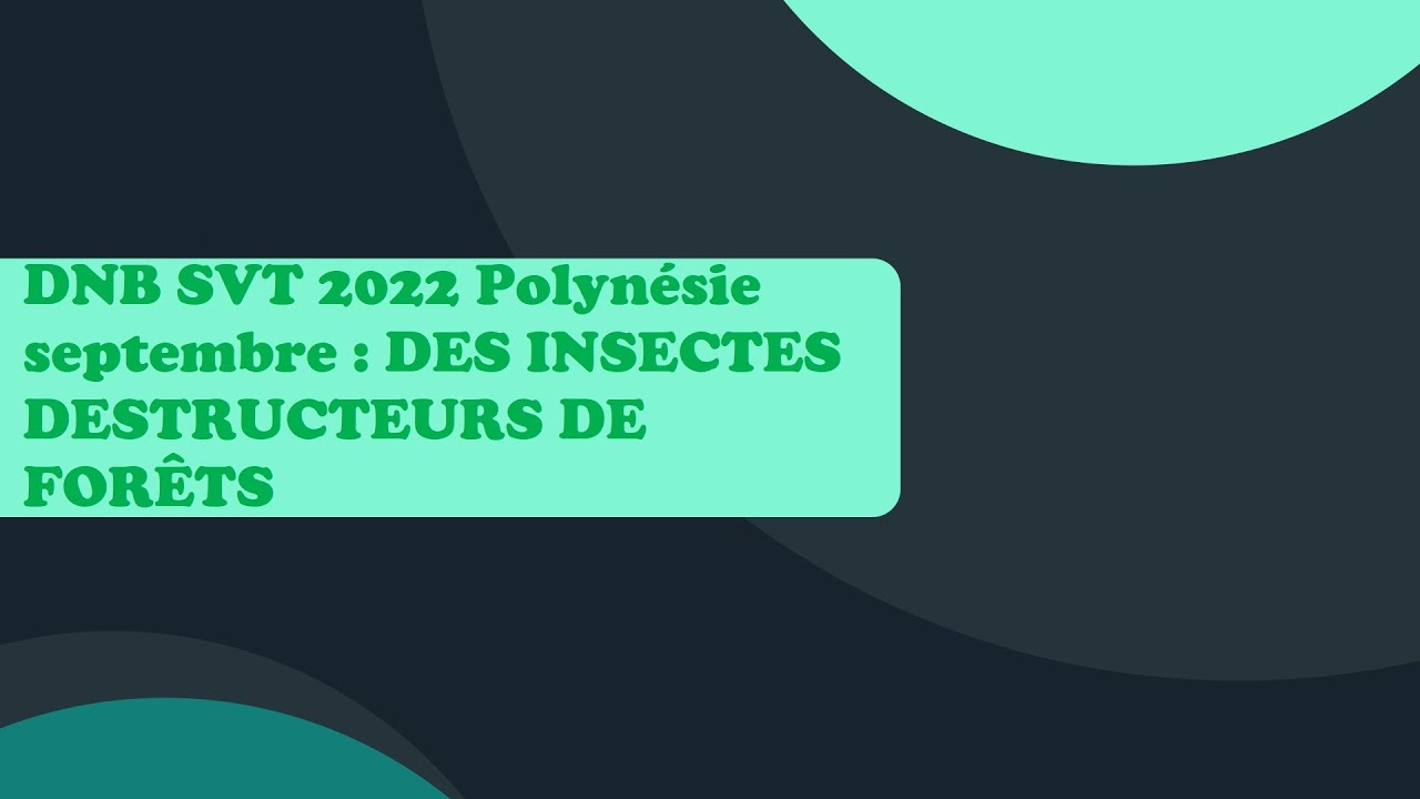 (Collège)(BREVET SVT) Sujet 2022 Polynésie : Scolytes destructeurs de
