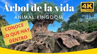 CONOCE EL ÁRBOL DE LA VIDA DE ANIMAL KINGDOM POR DENTRO! Disney World