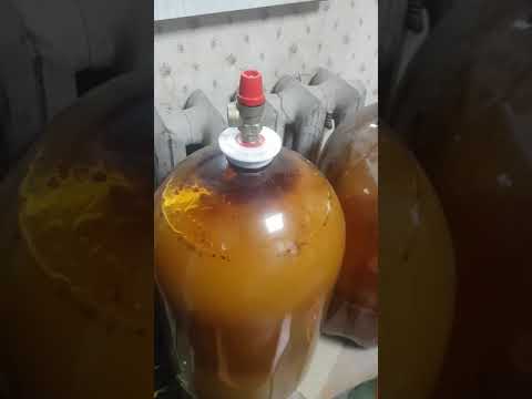 Брага в кеге