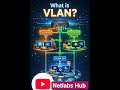 VLAN Explained in 60 Seconds | Networking Basics #netlabshub #ccna#cisco