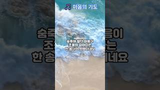 마음의 기도 - 하루 끝에 흐르는 작은 위로 (나를 위한 감성곡) #마음의기도