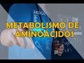 METABOLISMO DE AMINOÁCIDOS