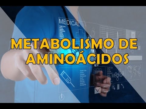 METABOLISMO DE AMINOÁCIDOS
