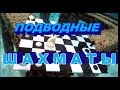 Чемпионат Пхукета по подводным шахматам