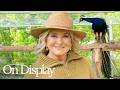 Martha Stewart Reveals Her Secret 153-Acre Farm & Peacock Collection | On Display