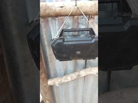 Sona Takale Warra Kush Nubia Warra Bole Viral Song Shorts