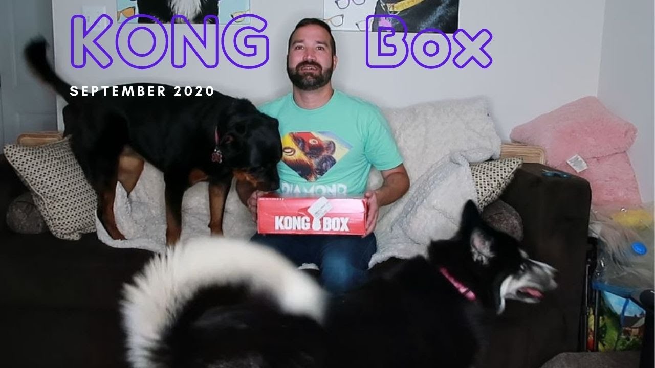 KONG BOX | Monthly Subscription for Tough Chewers! | September 2020