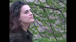 flypaper - stray (OFFICIAL VIDEO)