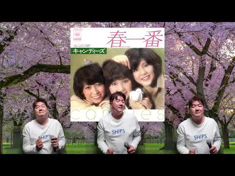 🌸春一番🌸キャンディーズ🎵うたかずやCover🎵