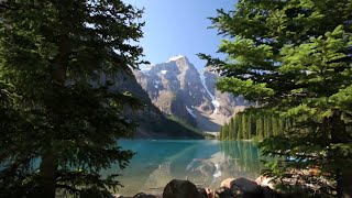 Vote 2021 – Battleground: Alberta