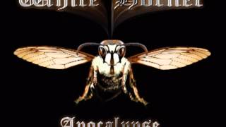 White Hornet - Apocalypse