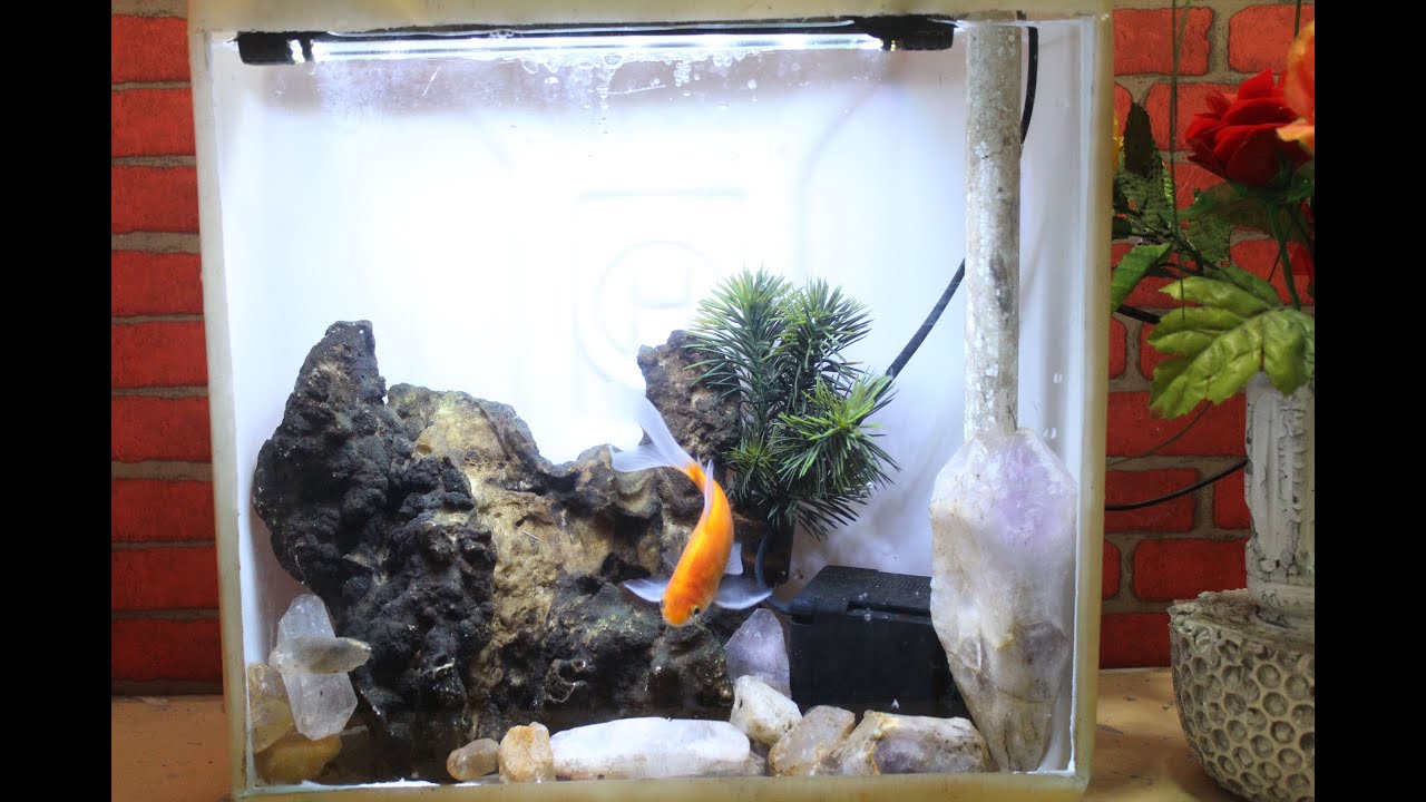 membuat aquarium mini dari jerigen bekas - YouTube