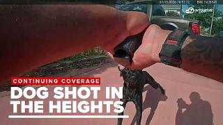 Labrador retriever shot and killed by police during neighborhood encounter