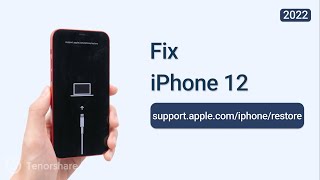 How to Fix support.apple.com/phone/restore on iPhone 12 (2022)