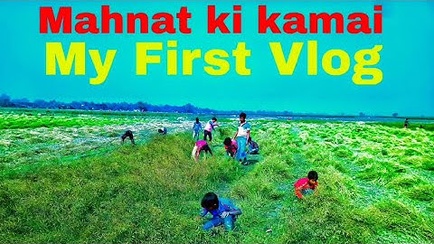 My First Vlog || #myfirstvlog #my_first_vlog #my_first_video #my_first_vlog_on #villagevlogs
