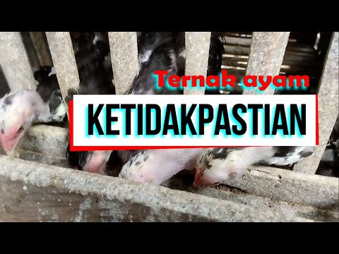 Ngeri – Ngeri