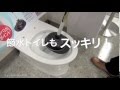 ニューラバーカップFIT説明動画