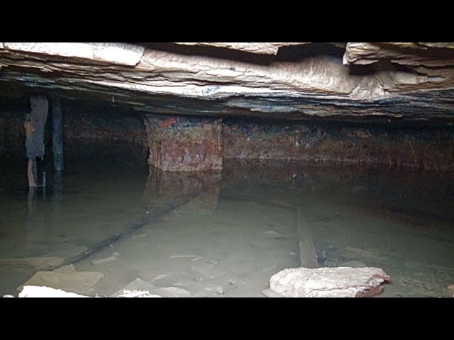Strange Creature Swims in West Virginia House Coal Mine