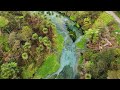 Blue spring  waikato  new zealand