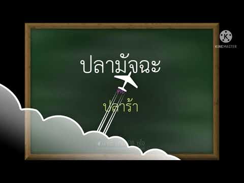 คำสุภาพ