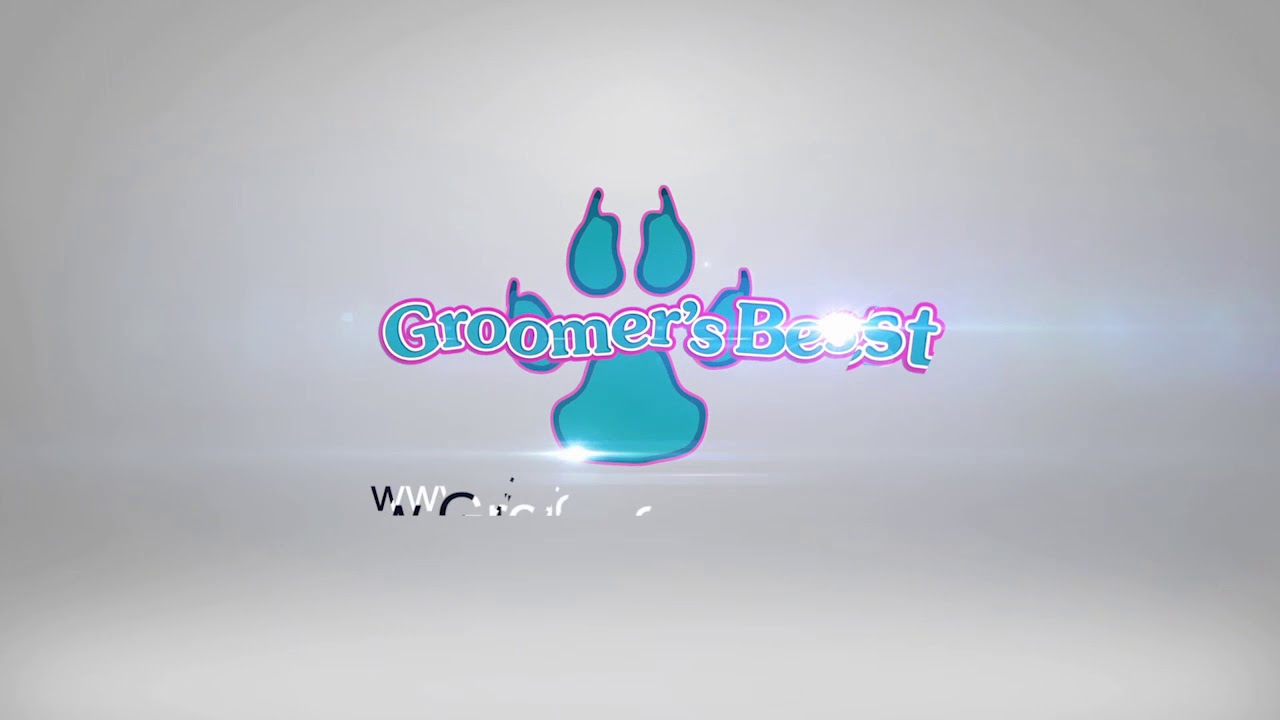 Logo Intro Sample 83 - YouTube
