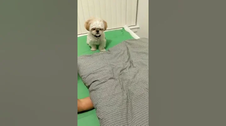 Don't mess with me 2