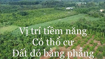 Kẹt tiền anh chủ hạ giá mạnh vị trí tiềm năng tại xã láng lớn huyện châu Đức tỉnh bà rịa Vũng tàu