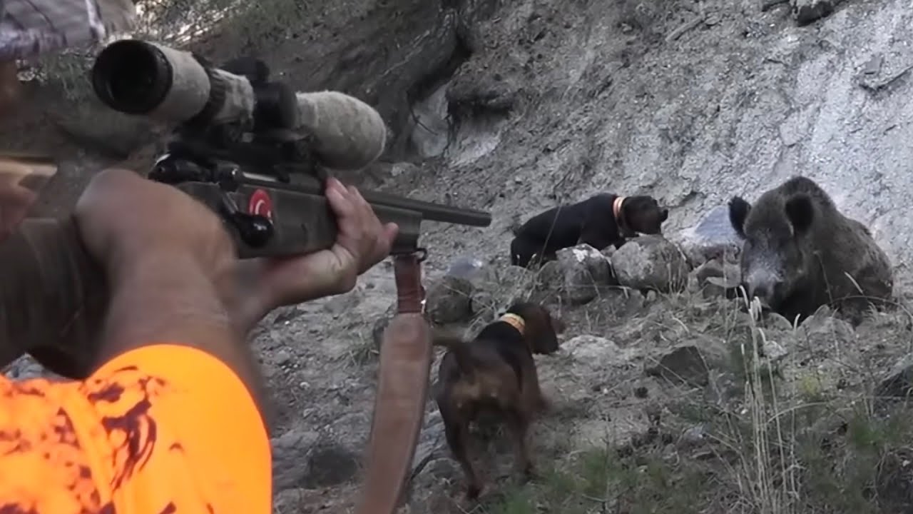 ОХОТА НА СВИНЕЙ ВОСТОЧНОЙ АНАТОЛИИ (с субтитрами)