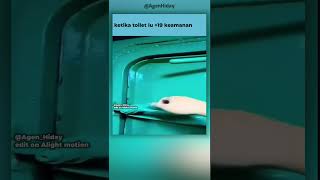 Anti Gedor Gedor Dawg  meme